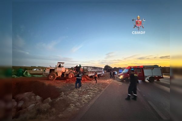 Caminhão com porcos tomba na BR-020 e parte dos animais morre