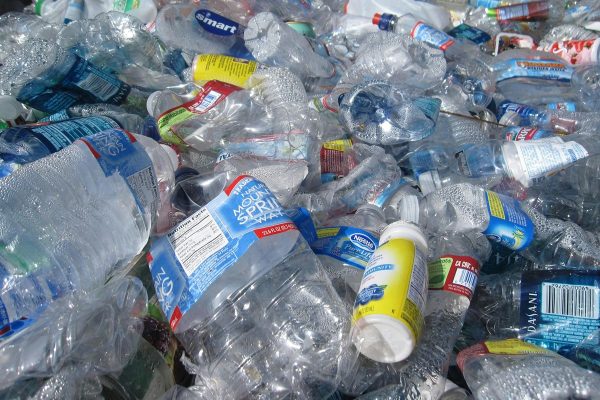 Plástico “vivo” se decompõe em seis dias sem gerar microplásticos