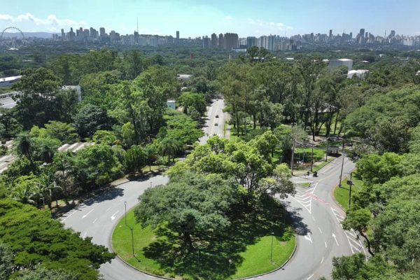 São Paulo se Aproxima de Meio Milhão de Árvores Plantadas Desde 2021