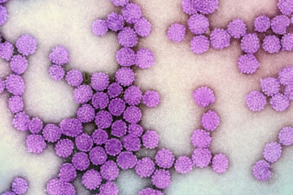 Teste rápido para hepatites B e C está disponível no SUS e fica pronto em 30 minutos