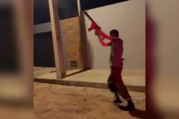 Grupo armado invade casa em Extremoz, RN, e mata pit bull