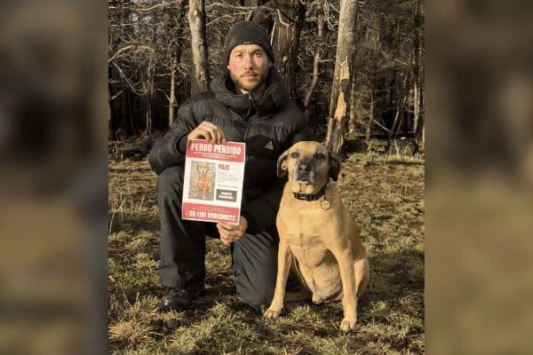 Tutores de Poze Anunciam Morte do Cão Perdido na Argentina