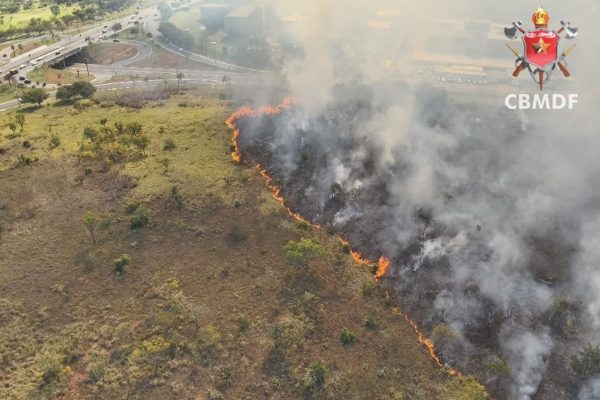Incêndio destrói 22 hectares e quase atinge barracos em Brasília
