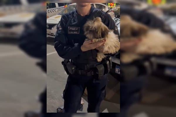 PMDF prende trio por furtos na Parada LGBT+ e resgata cachorro trancado