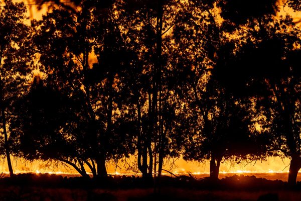 Incêndios devastadores na Europa podem persistir por meses, alertam autoridades