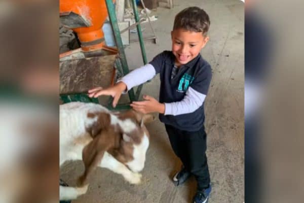 Criança autista de 5 anos é encontrada morta em Araucária (PR)