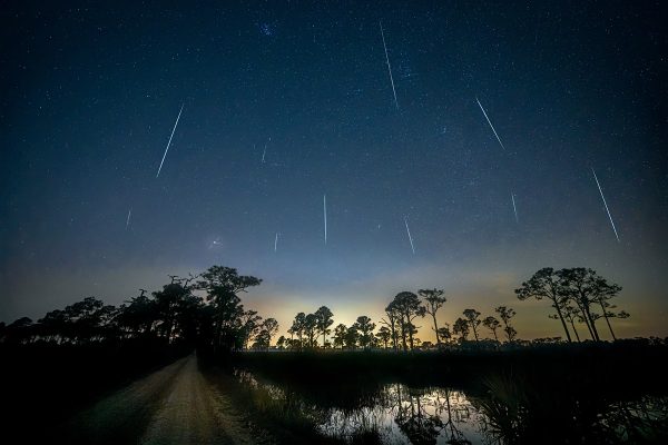 Chuva de meteoros poderá ser vista em todo o Brasil; veja quando observar