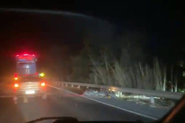 Motociclista morre após colisão com cavalo na BR-020 em Posse (GO)