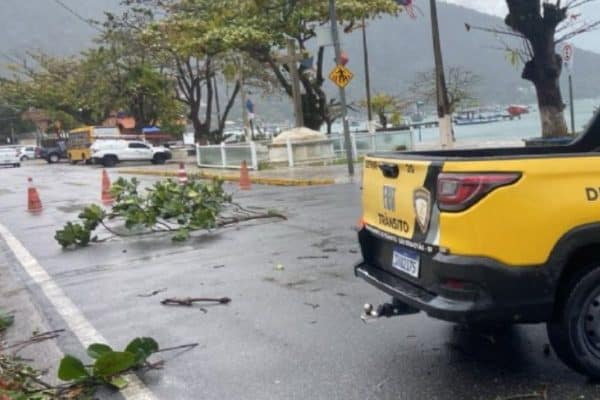 Especialistas afirmam que El Niño não é única causa de ventania em SP e RJ