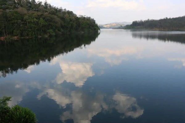 Ricardo Guedes discute a crise ecológica e o futuro da humanidade