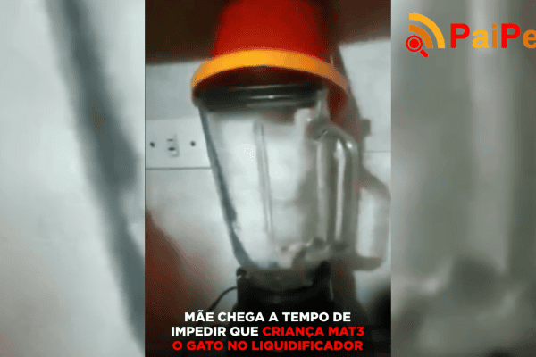 Mãe chega a tempo de impedir que criança mate o gato no liquidificador