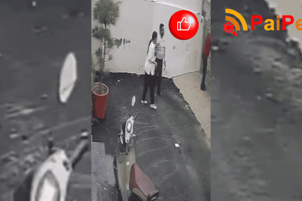Casal é atacado por pitbull durante visita a imóvel para alugar