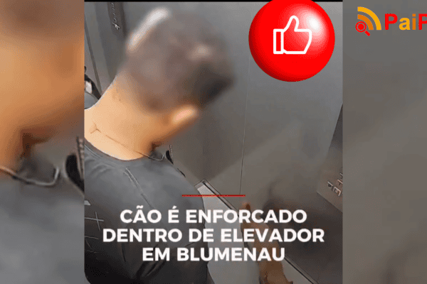 Cão é enforcado dentro de elevador em Blumenau