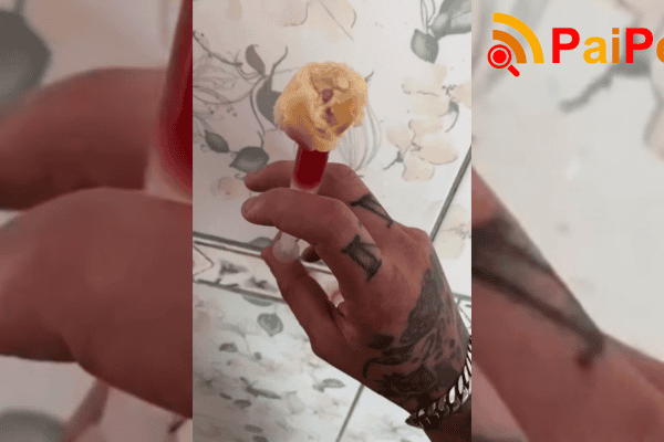 Tutor cria método criativo para dar remédio ao cachorro usando pão e petisco