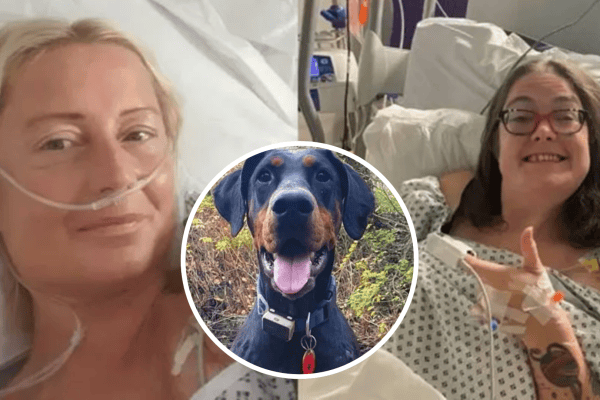 Desenganada, mulher consegue achar um doador compatível graças ao faro do cachorro