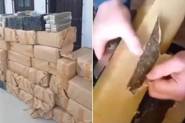 Motorista é detido pela PF com caminhão carregado de maconha em Cruzeiro (SP)