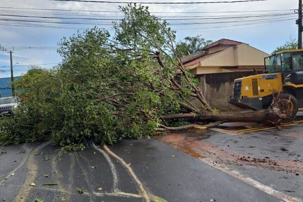 Alerta de vendaval emitido para 50 cidades da Zona da Mata em Minas Gerais