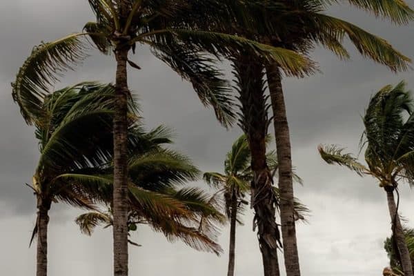 Prefeituras de Caraguatatuba e Ubatuba suspendem aulas devido a ventos de 90 km/h