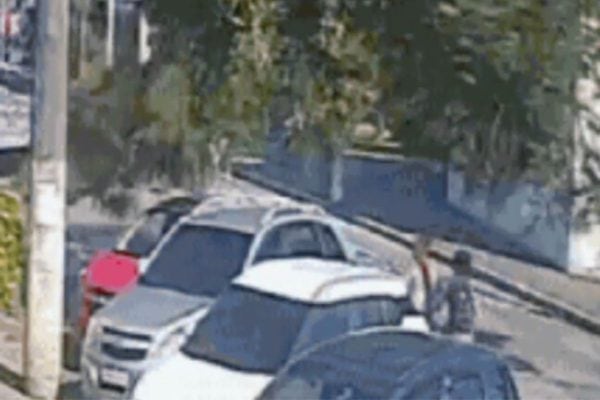 Carro com pai e filho é esmagado por árvore em Itanhaém, mas ambos saem ilesos