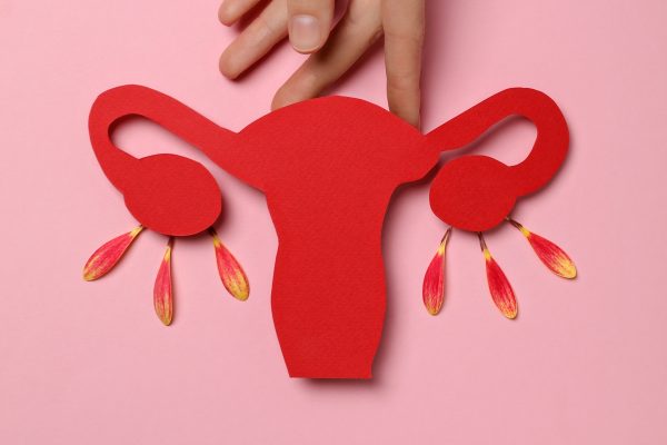 Malformações uterinas: útero unicorno e bicorno podem passar despercebidos e afetar gravidez