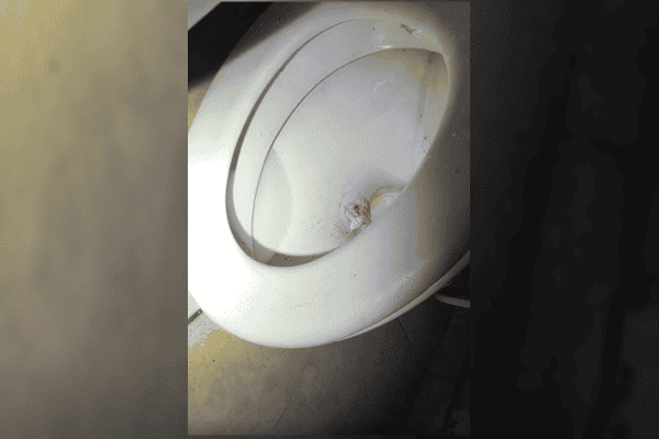 Traficante é preso ao tentar descartar drogas durante operação em Ceilândia