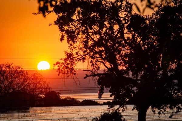 Calor intenso e falta de chuvas nesta quinta-feira devido ao El Niño e veranico