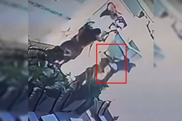 Saúde do DF afirma que morador de rua que agrediu criança não pode ser internado involuntariamente