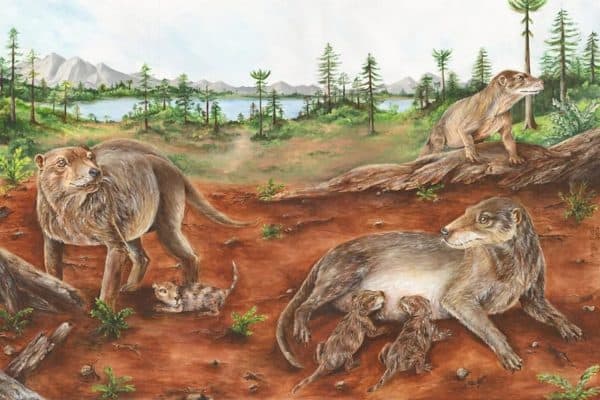 Fóssil de 236 milhões de anos pode mudar história dos mamíferos, dizem cientistas