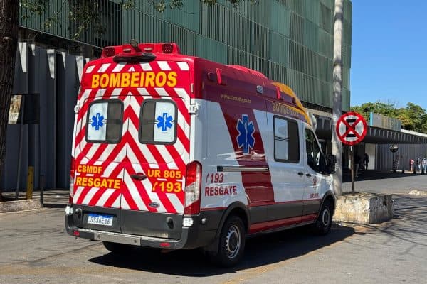 Veterinária atacada por cão do Senado sofre lesão grave no pescoço