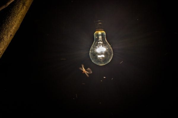 Águas Claras, Jardim Botânico e Samambaia terão interrupção de energia nesta sexta