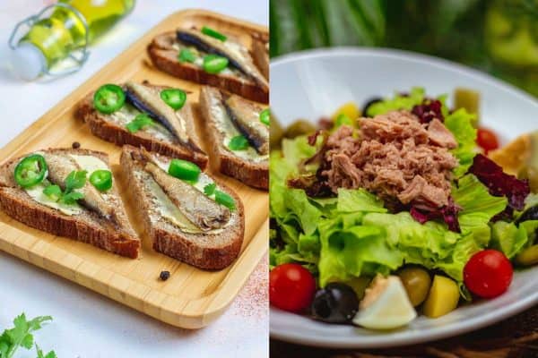 Nutricionista recomenda sardinha e atum como peixes saudáveis e econômicos