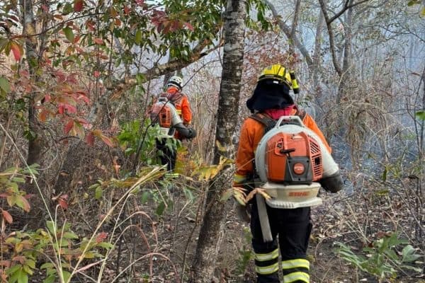 Incêndio devasta mais de 14 mil hectares no Parque da Serra Dourada