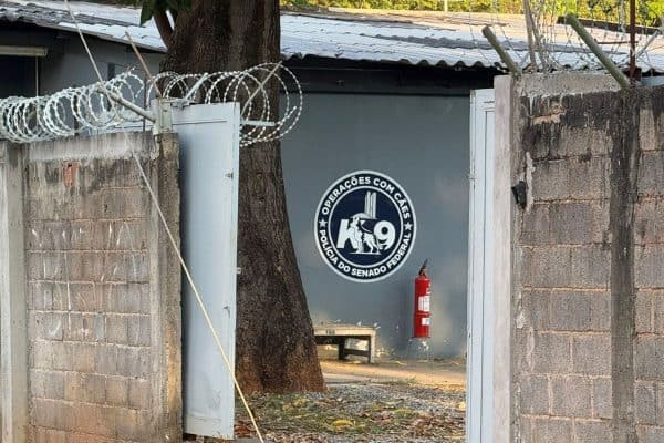 Canil do Senado é fechado após morte de veterinária atacada por cão