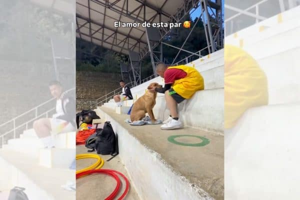 Menino leva cachorro para treino de futebol e carinho emociona a internet