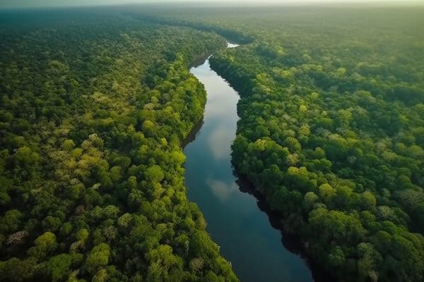 Desafios da Amazônia: Ausência de Política Corajosa e Novas Descobertas de Petróleo