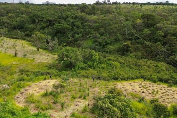 Justiça do DF impede negociações imobiliárias na Serrinha do Paranoá