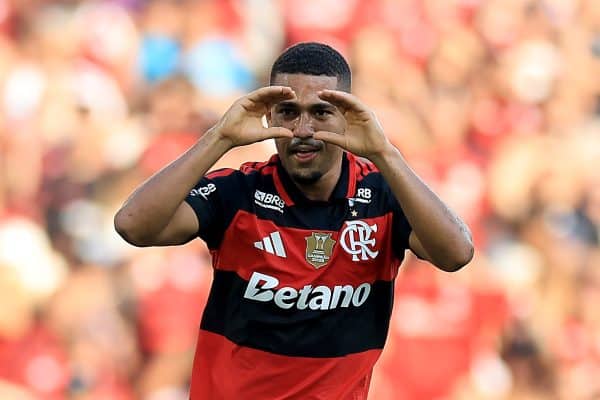 Flamengo derrota Botafogo e mantém vice-liderança no Brasileirão