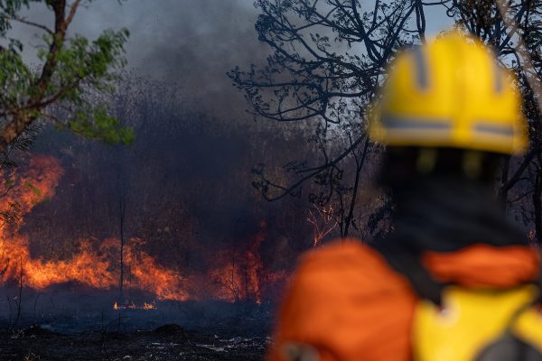 DF enfrenta aumento de incêndios florestais devido à seca e ações humanas