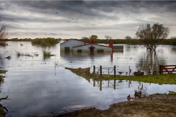 El Niño intensifica chuvas no Brasil e eleva riscos de saúde após enchentes