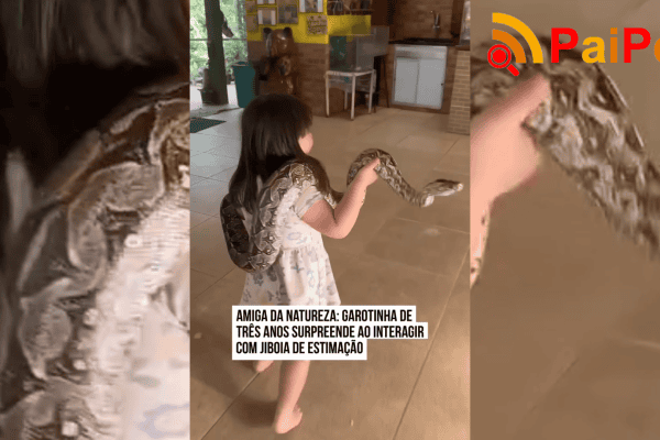 Amiga da natureza: garotinha de três anos surpreende ao interagir com jiboia de estimação