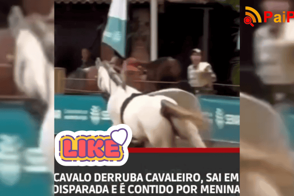 Cavalo derruba cavaleiro, sai em disparada e é contido por menina
