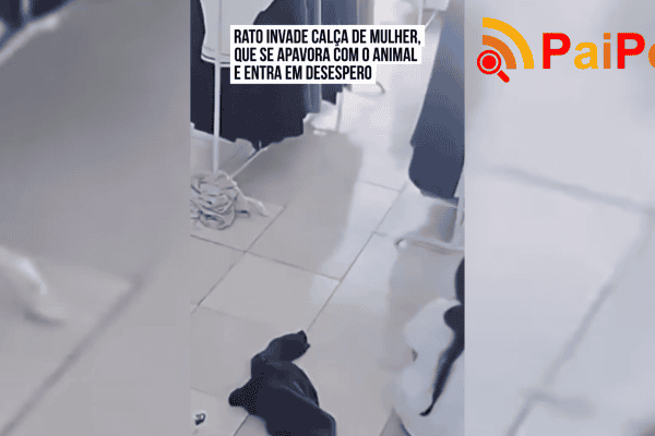 Rato invade calça de mulher, que se apavora com o animal e entra em desespero