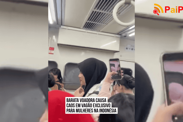 Barata voadora causa caos em vagão exclusivo para mulheres na Indonésia