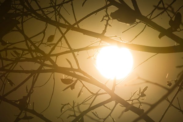 El Niño deve intensificar eventos climáticos extremos até 2027, alerta a ONU