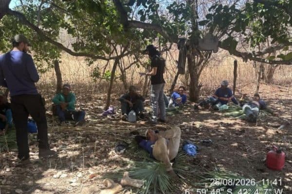 MPT resgata 40 trabalhadores em condições precárias no Piauí