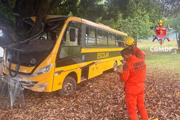 Ônibus escolar com 27 crianças colide com árvore; duas são hospitalizadas