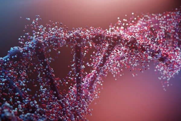 Análise Genética Descobre 36 Genes Ligados a TOC, Síndrome de Tourette e Autismo