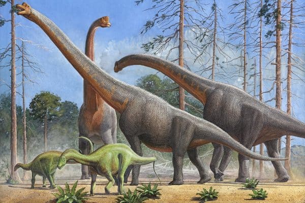 Nova Espécie de Dinossauro de 20 Metros Descoberta no Maranhão