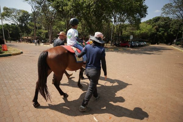 Equoterapia no DF transforma vida de jovens com deficiências e transtornos
