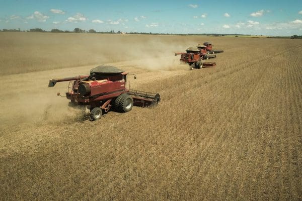 IBGE mantém previsão de safra recorde para 2026 em 352,9 milhões de toneladas
